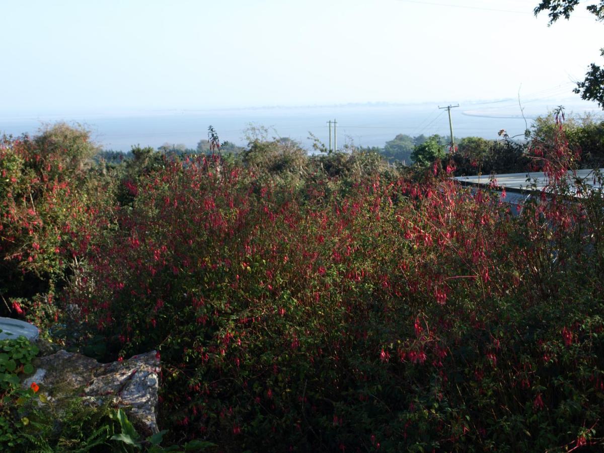 Bed and Breakfast Ocean View Wexford Exteriér fotografie